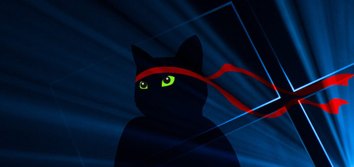 Windows Insider Anniversary Ninja Cat