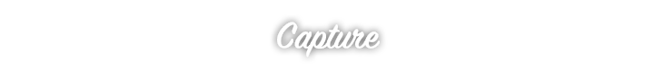 gta-online-capture-logo