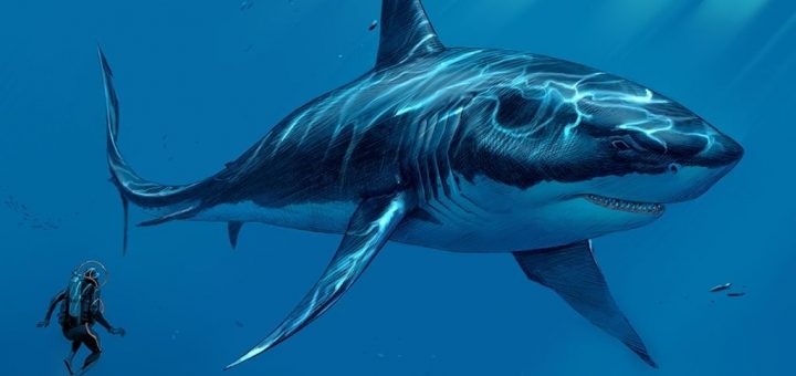 Sea of Thieves Megalodon