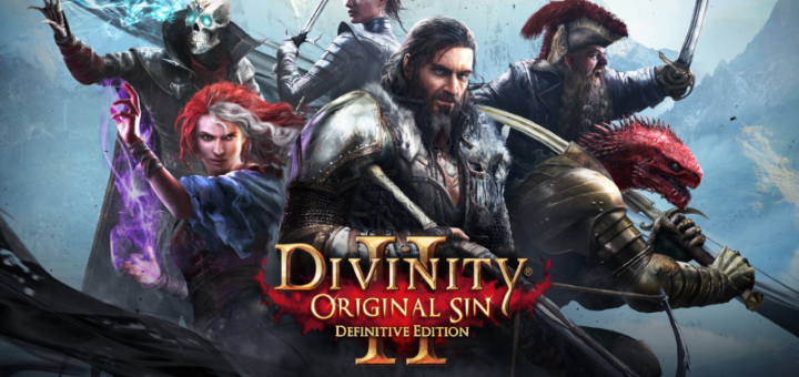 divinity: original sin 2 definitive edition