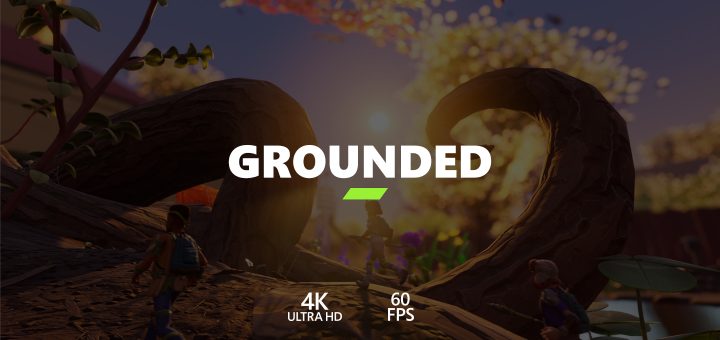 Grounded Game Preview